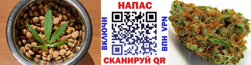 где найти Каргополь Cannafood марихуана