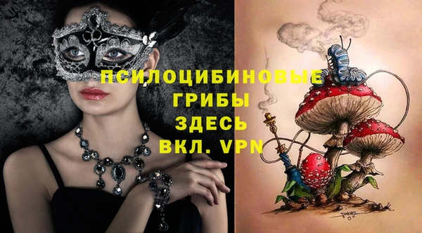 ПСИЛОЦИБИНОВЫЕ ГРИБЫ Наволоки