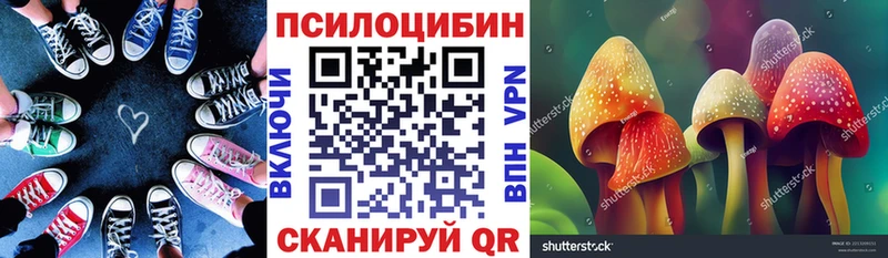 Галлюциногенные грибы прущие грибы  blacksprut ссылки  Каргополь 